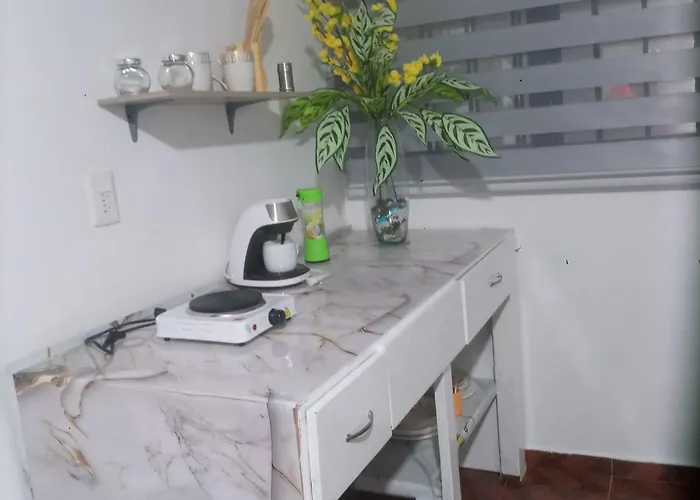 Hermosa King Size Bed O Apartment Mexico City